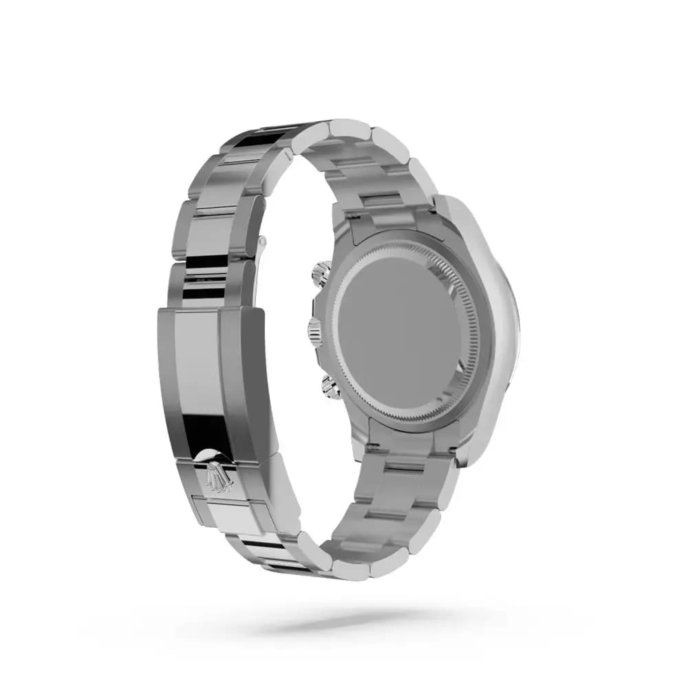 Back View – Stainless Steel Case Back