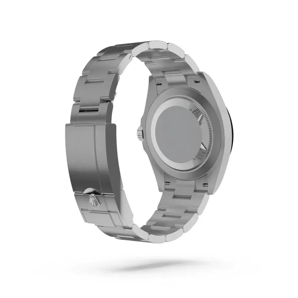 Back View – Stainless Steel Case Back